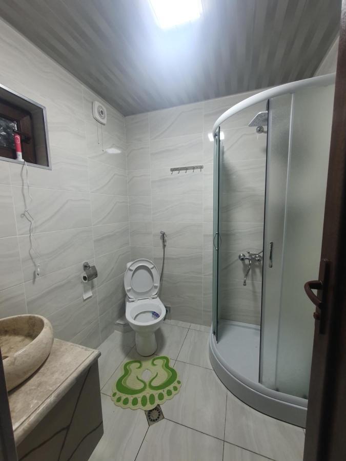 Gesh House Apartment Borjomi Bagian luar foto