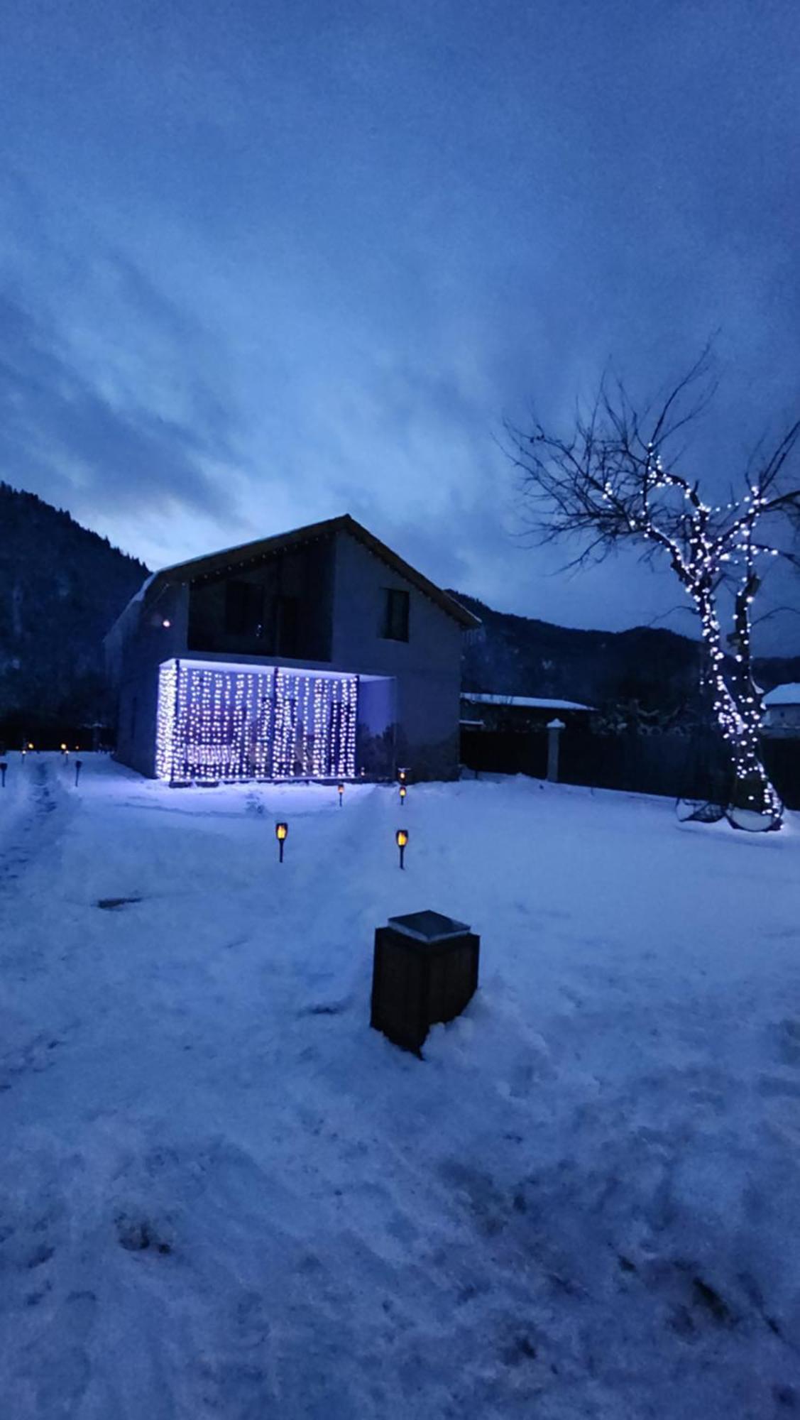 Gesh House Apartment Borjomi Bagian luar foto